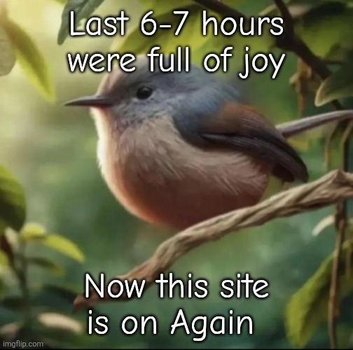 No balls | Last 6-7 hours were full of joy; Now this site is on Again | image tagged in no balls | made w/ Imgflip meme maker