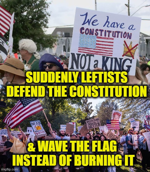 More Leftist Logic | SUDDENLY LEFTISTS
DEFEND THE CONSTITUTION; & WAVE THE FLAG 
INSTEAD OF BURNING IT | image tagged in leftists | made w/ Imgflip meme maker