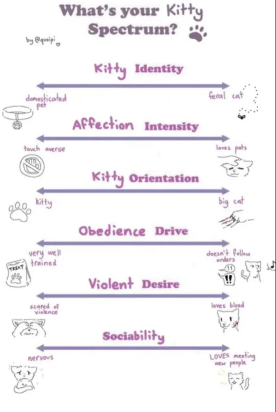 High Quality What's your kitty spectrum Blank Meme Template