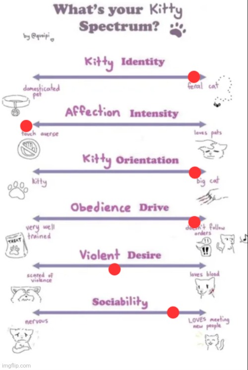 What's your kitty spectrum | image tagged in what's your kitty spectrum | made w/ Imgflip meme maker