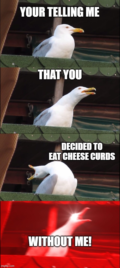 why | YOUR TELLING ME; THAT YOU; DECIDED TO EAT CHEESE CURDS; WITHOUT ME! | image tagged in memes,inhaling seagull | made w/ Imgflip meme maker