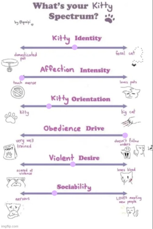 i had no choice :sob: | image tagged in what's your kitty spectrum | made w/ Imgflip meme maker