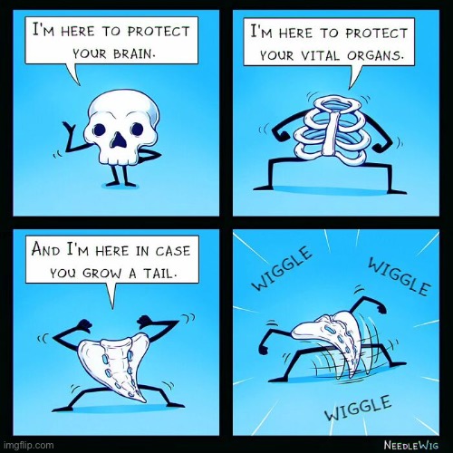Skull & Bones | image tagged in comics,needle wig,bones,protect,skull,tailbone | made w/ Imgflip meme maker