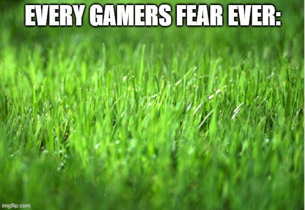 grass is greener | EVERY GAMERS FEAR EVER: | image tagged in grass is greener,touch grass,relatable,gamers,fear | made w/ Imgflip meme maker