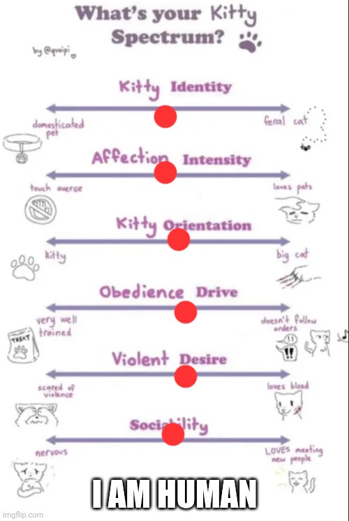 What's your kitty spectrum | I AM HUMAN | image tagged in what's your kitty spectrum | made w/ Imgflip meme maker