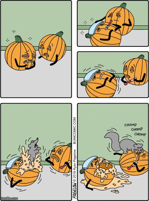 Jack O’ Lantern Nightmare… | image tagged in comics,buni comic,pumpkins,feeling sick,squirrel,death | made w/ Imgflip meme maker