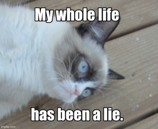 image tagged in my whole life has been a lie | made w/ Imgflip meme maker