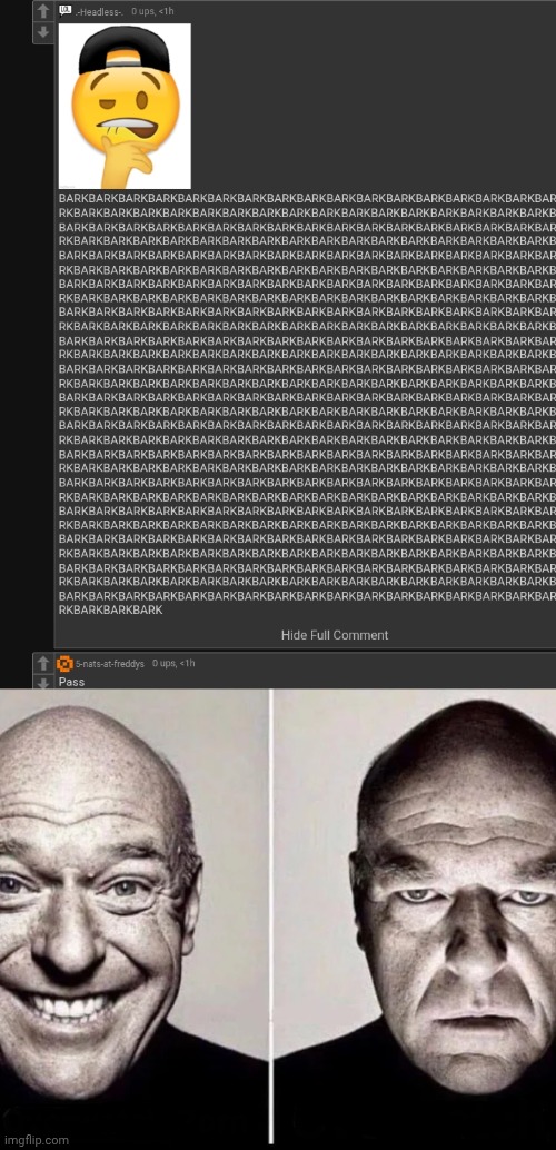 image tagged in the duality of hank schrader | made w/ Imgflip meme maker