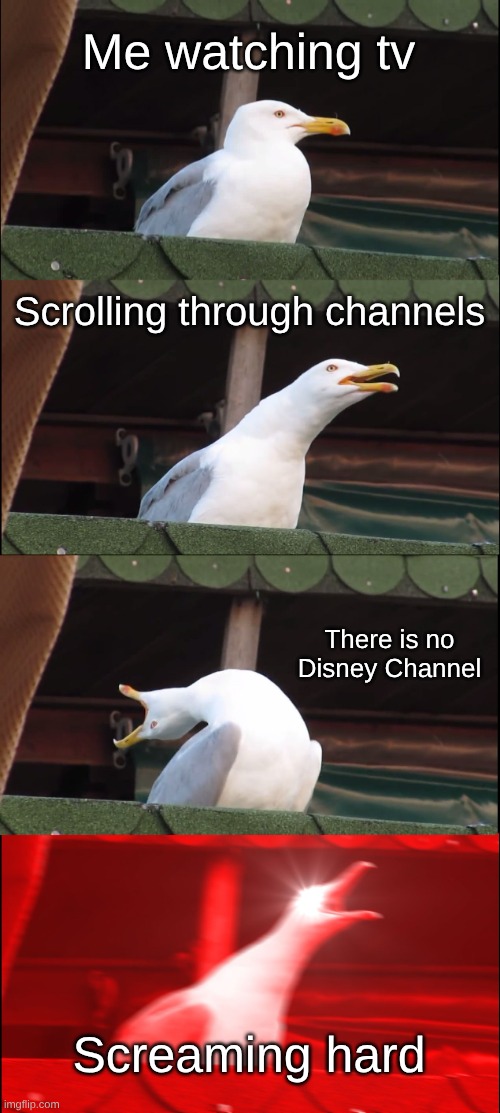 I'm screaming rn | Me watching tv; Scrolling through channels; There is no Disney Channel; Screaming hard | image tagged in memes,inhaling seagull | made w/ Imgflip meme maker