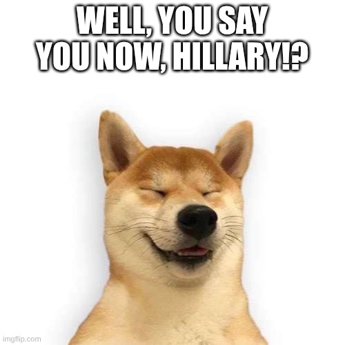 WELL, YOU SAY YOU NOW, HILLARY!? | image tagged in hahadog | made w/ Imgflip meme maker