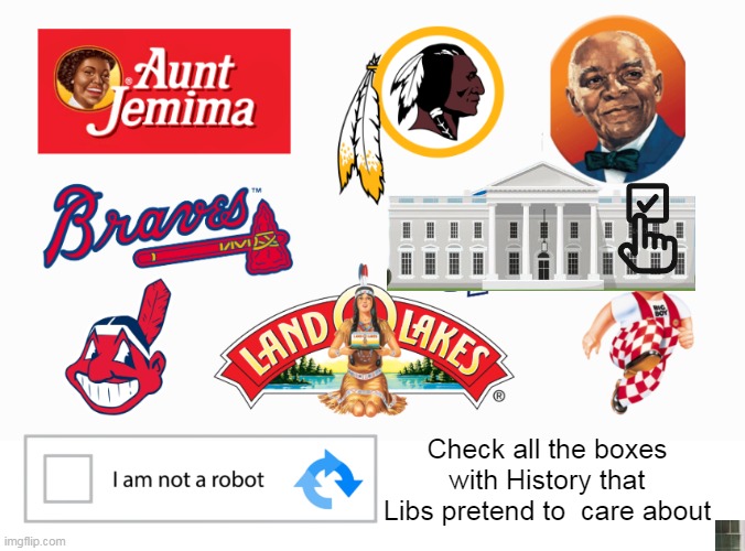Should be I AM a robot | Check all the boxes with History that Libs pretend to  care about | image tagged in capcha history white house meme | made w/ Imgflip meme maker