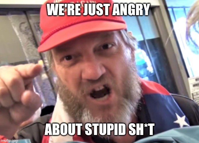 Angry Trumper MAGA White Supremacist | WE'RE JUST ANGRY ABOUT STUPID SH*T | image tagged in angry trumper maga white supremacist | made w/ Imgflip meme maker