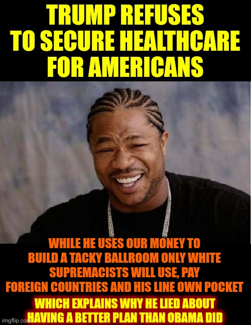 Trump Is Lowest Of The Low | TRUMP REFUSES TO SECURE HEALTHCARE FOR AMERICANS; WHILE HE USES OUR MONEY TO BUILD A TACKY BALLROOM ONLY WHITE SUPREMACISTS WILL USE, PAY FOREIGN COUNTRIES AND HIS LINE OWN POCKET; WHICH EXPLAINS WHY HE LIED ABOUT HAVING A BETTER PLAN THAN OBAMA DID | image tagged in memes,yo dawg heard you,disgusting donald,deplorable donald,trump is a convicted felon,nazi | made w/ Imgflip meme maker