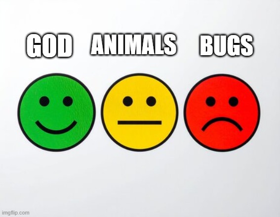 HE'S THE BEST! | GOD; BUGS; ANIMALS | image tagged in x good y fine z bad | made w/ Imgflip meme maker