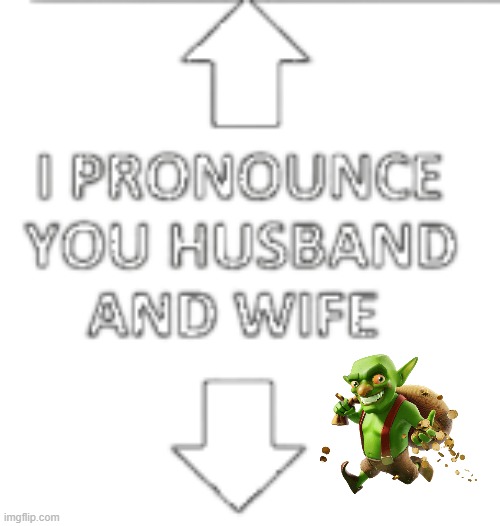 I pronounce you husband and wife | image tagged in i pronounce you husband and wife | made w/ Imgflip meme maker