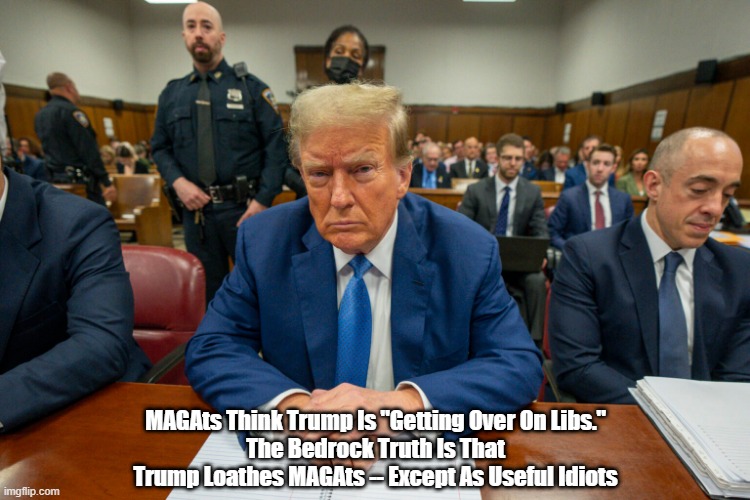 MAGAts Think Trump Is Getting Over On Libs | MAGAts Think Trump Is "Getting Over On Libs."
The Bedrock Truth Is That Trump Loathes MAGAts -- Except As Useful Idiots | image tagged in trump,useful idiots,getting over on libs,24 time felon,trump hates just about everyone,trump couldnt care less | made w/ Imgflip meme maker