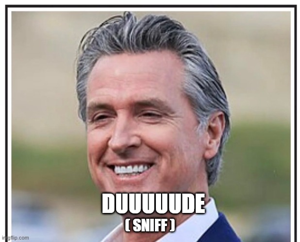 DUUUUUDE; ( SNIFF ) | made w/ Imgflip meme maker