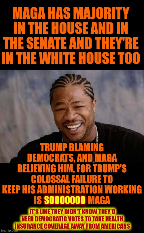 Trump, Republicans & Maga ALL LIE!  It's Childish Blaming Everyone Else For Your Failures. He's Almost 80!  Get Over Yourselves! | MAGA HAS MAJORITY IN THE HOUSE AND IN THE SENATE AND THEY'RE IN THE WHITE HOUSE TOO; TRUMP BLAMING DEMOCRATS, AND MAGA BELIEVING HIM, FOR TRUMP'S COLOSSAL FAILURE TO KEEP HIS ADMINISTRATION WORKING
IS SOOOOOOO MAGA; SOOOOOOO; IT'S LIKE THEY DIDN'T KNOW THEY'D NEED DEMOCRATIC VOTES TO TAKE HEALTH INSURANCE COVERAGE AWAY FROM AMERICANS | image tagged in memes,yo dawg heard you,maga,nazis,lock him up,liars | made w/ Imgflip meme maker