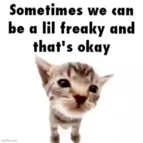 sorry yall the voices told to post wink | made w/ Imgflip meme maker