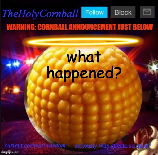 TheHolyCornball Announcement | what happened? seriously why stream so quiet? | image tagged in theholycornball announcement | made w/ Imgflip meme maker