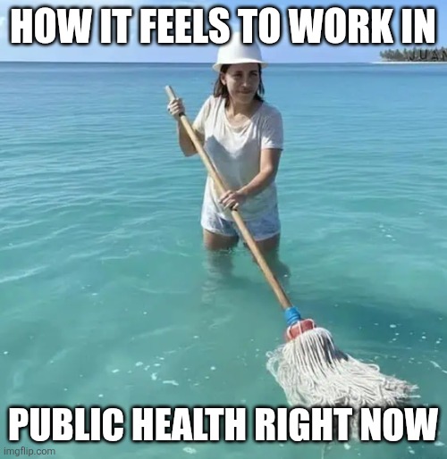 Mopping the ocean | HOW IT FEELS TO WORK IN; PUBLIC HEALTH RIGHT NOW | image tagged in mopping the ocean | made w/ Imgflip meme maker
