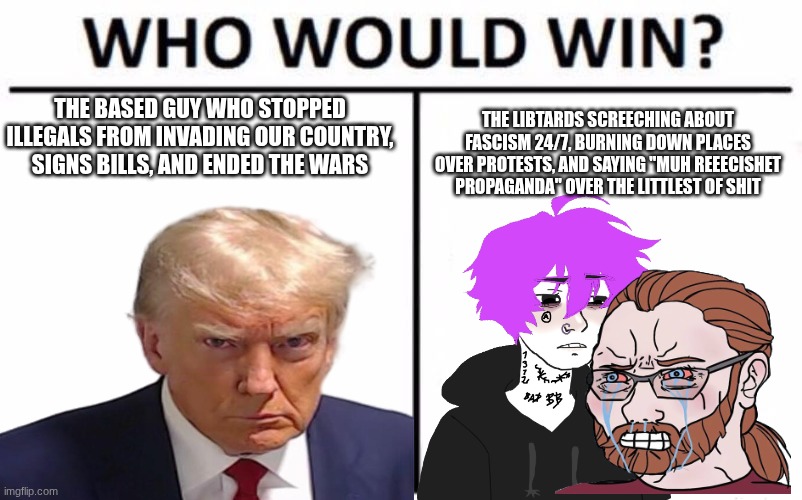 I would pick the first option | THE BASED GUY WHO STOPPED ILLEGALS FROM INVADING OUR COUNTRY, SIGNS BILLS, AND ENDED THE WARS; THE LIBTARDS SCREECHING ABOUT FASCISM 24/7, BURNING DOWN PLACES OVER PROTESTS, AND SAYING "MUH REEECISHET PROPAGANDA" OVER THE LITTLEST OF SHIT | image tagged in memes,who would win | made w/ Imgflip meme maker