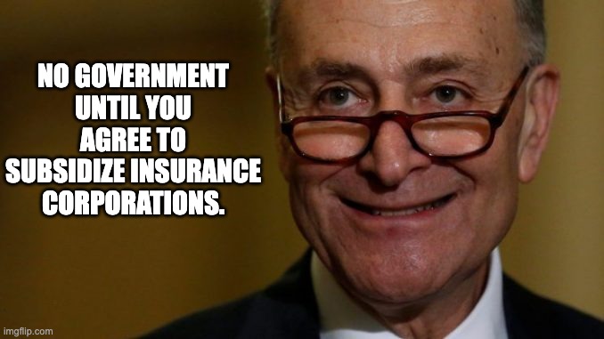 Leering Chuck Schumer mask | NO GOVERNMENT UNTIL YOU AGREE TO SUBSIDIZE INSURANCE CORPORATIONS. | image tagged in leering chuck schumer mask | made w/ Imgflip meme maker