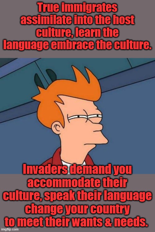 Multiculturism means death to the Host culture. Bye Bye America pie. Burn your flag & raise theirs. | True immigrates assimilate into the host culture, learn the language embrace the culture. Invaders demand you accommodate their culture, speak their language change your country to meet their wants & needs. | image tagged in memes,futurama fry | made w/ Imgflip meme maker