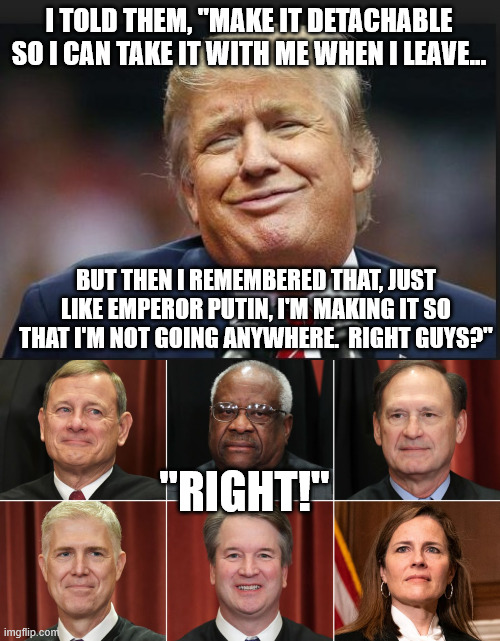 I TOLD THEM, "MAKE IT DETACHABLE SO I CAN TAKE IT WITH ME WHEN I LEAVE... BUT THEN I REMEMBERED THAT, JUST LIKE EMPEROR PUTIN, I'M MAKING IT | image tagged in trump asshole grin | made w/ Imgflip meme maker
