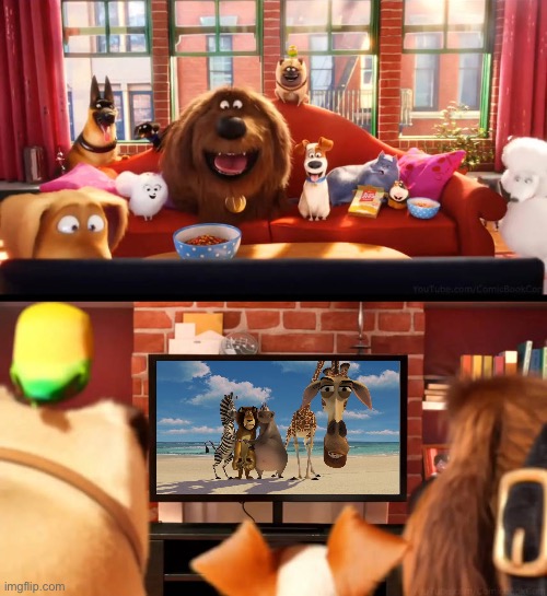 The Pets (Max, Duke, Gidget, Chloe, Mel, Buddy, Norman and Sweetpea) watching Madagascar | image tagged in the pets watching a blank on tv,dreamworks,illumination,madagascar,the secret life of pets,memes | made w/ Imgflip meme maker