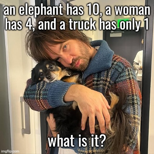 Kevin Parker hugging puppy | an elephant has 10, a woman has 4, and a truck has only 1; what is it? | image tagged in kevin parker hugging puppy | made w/ Imgflip meme maker