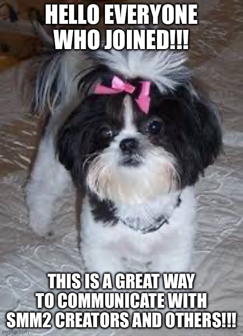 Hello!! | HELLO EVERYONE WHO JOINED!!! THIS IS A GREAT WAY TO COMMUNICATE WITH SMM2 CREATORS AND OTHERS!!! | image tagged in rosalina | made w/ Imgflip meme maker