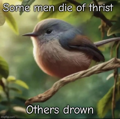 No balls | Some men die of thrist; Others drown | image tagged in no balls | made w/ Imgflip meme maker