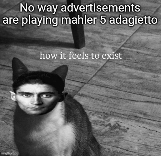 ts so kafkaesque | No way advertisements are playing mahler 5 adagietto | image tagged in ts so kafkaesque | made w/ Imgflip meme maker