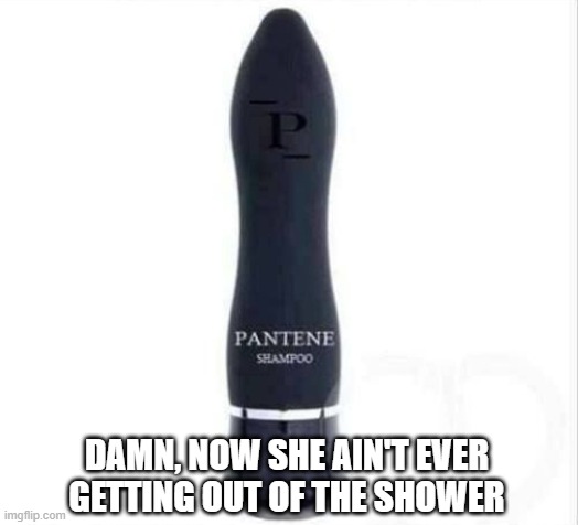 Shampoo Bottle | DAMN, NOW SHE AIN'T EVER GETTING OUT OF THE SHOWER | image tagged in sex jokes | made w/ Imgflip meme maker