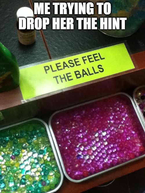 Drop a Hint | ME TRYING TO DROP HER THE HINT | image tagged in sex jokes | made w/ Imgflip meme maker