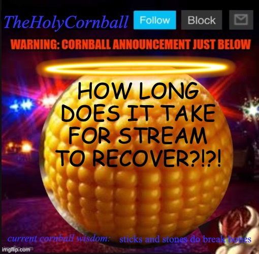 TheHolyCornball Announcement | HOW LONG DOES IT TAKE FOR STREAM TO RECOVER?!?! sticks and stones do break bones | image tagged in theholycornball announcement | made w/ Imgflip meme maker