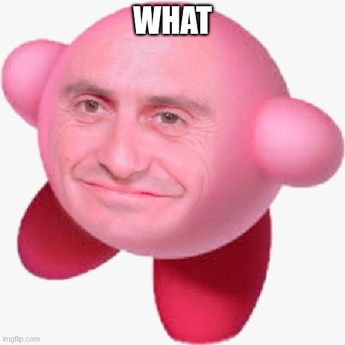 WHAT | image tagged in wut | made w/ Imgflip meme maker