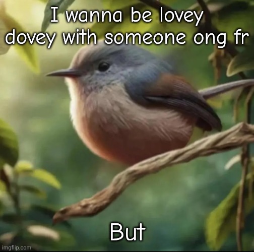Btw I have 66666 comments | I wanna be lovey dovey with someone ong fr; But | image tagged in no balls | made w/ Imgflip meme maker