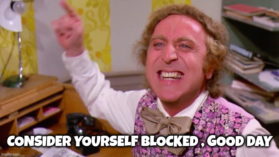 Willy Wonka you get nothing | CONSIDER YOURSELF BLOCKED , GOOD DAY | image tagged in willy wonka you get nothing | made w/ Imgflip meme maker