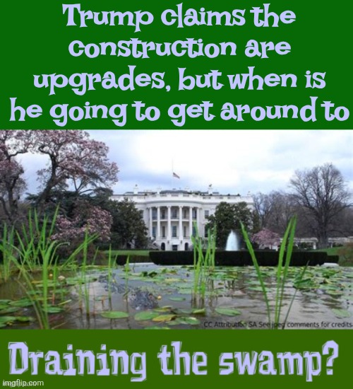 Trump still hasn't drained the swamp. | Trump claims the construction are upgrades, but when is he going to get around to | image tagged in donnie destructo,our house was a very very fine house,trump hasn't drained the swamp yet | made w/ Imgflip meme maker