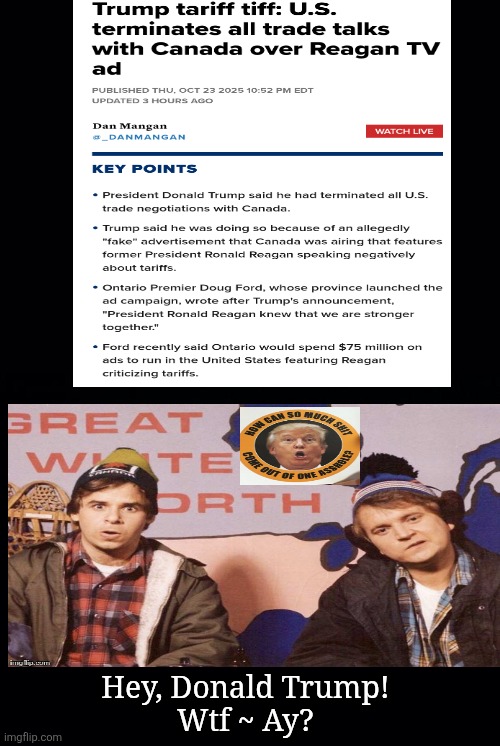 Trump strikes again | Hey, Donald Trump!
Wtf ~ Ay? | image tagged in trump,canada,on tariffs,retribution over nothing,big baby,maga | made w/ Imgflip meme maker