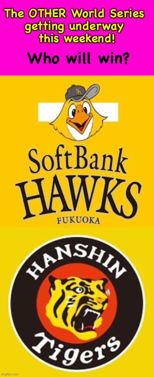 The Japan Series | The OTHER World Series 
getting underway 
this weekend! Who will win? | image tagged in hawks,tigers | made w/ Imgflip meme maker