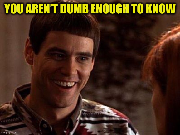YOU AREN’T DUMB ENOUGH TO KNOW | image tagged in dumb and dumber | made w/ Imgflip meme maker