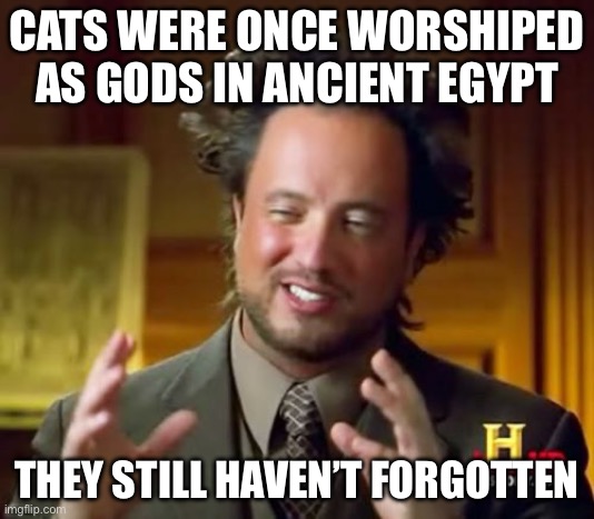 CATS WERE ONCE WORSHIPED AS GODS IN ANCIENT EGYPT; THEY STILL HAVEN’T FORGOTTEN | CATS WERE ONCE WORSHIPED AS GODS IN ANCIENT EGYPT; THEY STILL HAVEN’T FORGOTTEN | image tagged in memes,ancient aliens,gods of egypt,ancient egypt,cats,gods | made w/ Imgflip meme maker