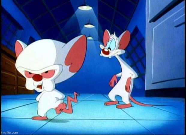pinky and the brain monday | image tagged in pinky and the brain monday | made w/ Imgflip meme maker