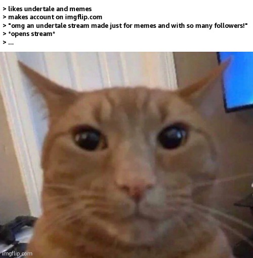 Just rename it to OCTale at this point | > likes undertale and memes
> makes account on imgflip.com
> "omg an undertale stream made just for memes and with so many followers!"
> *opens stream*
> ... | image tagged in orange cat staring,ralsei of topic | made w/ Imgflip meme maker