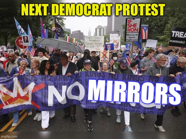 Democrats protest “Self-Reflection” | NEXT DEMOCRAT PROTEST; MIRRORS | image tagged in gifs,democrats,democratic socialism,mirror mirror,wrong | made w/ Imgflip meme maker
