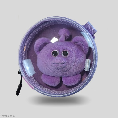 ouioui carrying case is real | image tagged in ouioui macaron purple | made w/ Imgflip meme maker