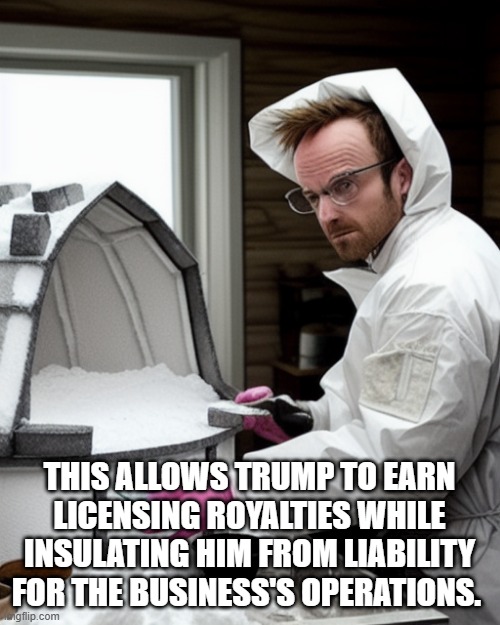 Snowcones | THIS ALLOWS TRUMP TO EARN LICENSING ROYALTIES WHILE INSULATING HIM FROM LIABILITY FOR THE BUSINESS'S OPERATIONS. | image tagged in snowcones | made w/ Imgflip meme maker